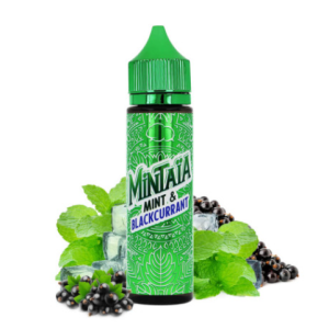 Mint Blackcurrant Mintaia Eliquid France Aroma Shot 10/60